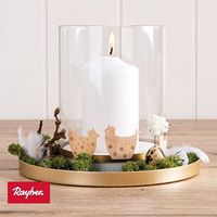 Odoo • une photo avec une légende