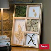 Odoo • une photo avec une légende