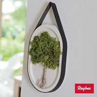 Odoo • une photo avec une légende