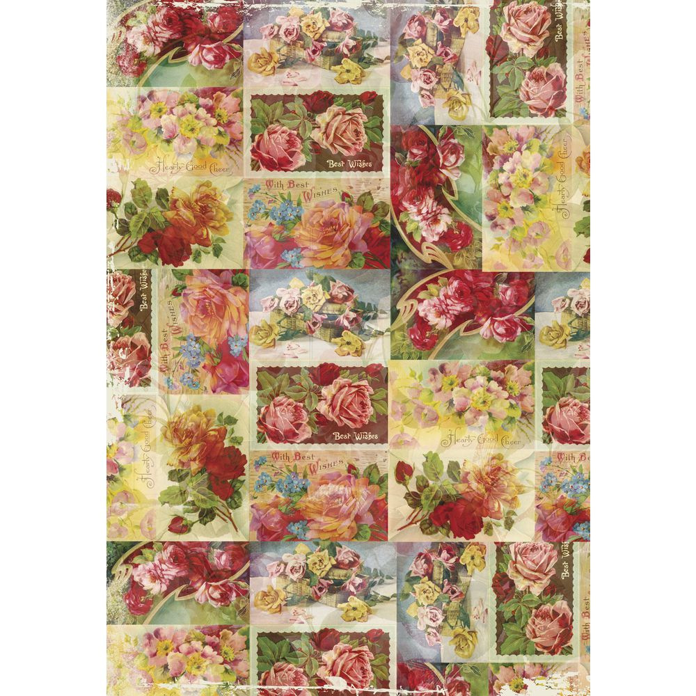 Odoo • Texte et Image