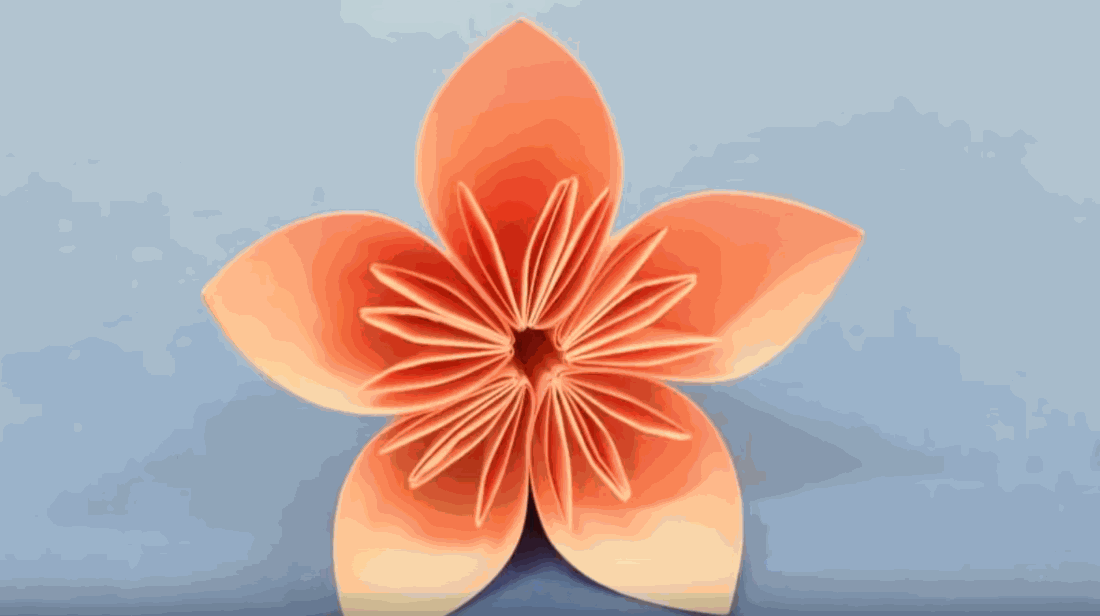 Odoo • une photo avec une légende