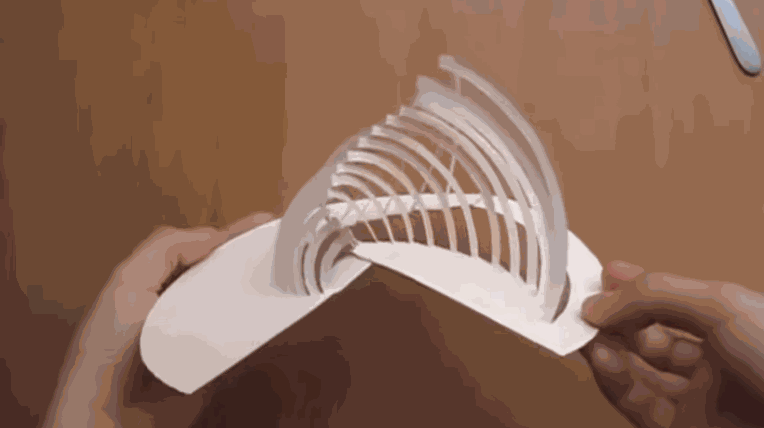 Odoo • une photo avec une légende