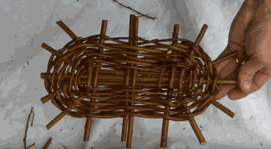 Odoo • une photo avec une légende