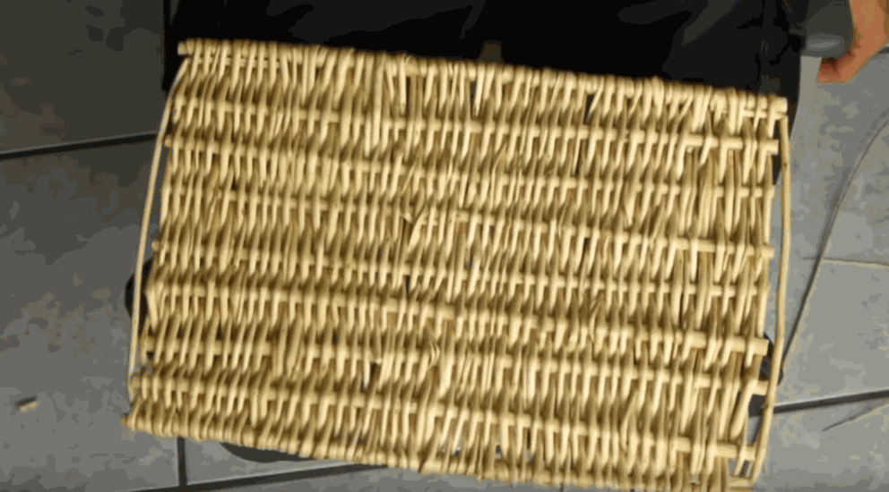 Odoo • une photo avec une légende