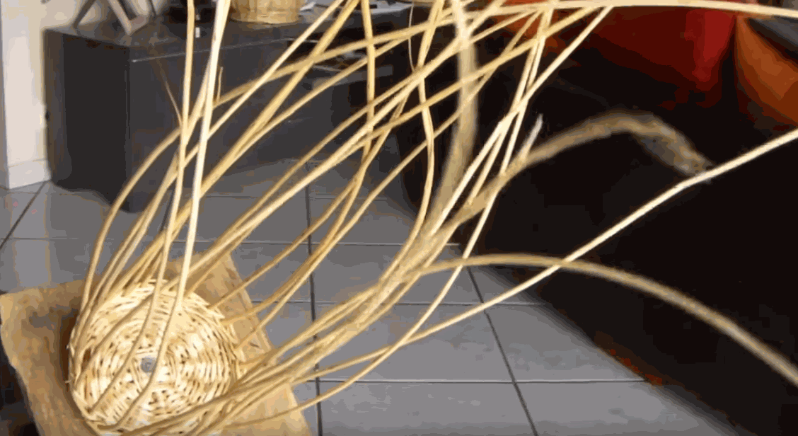 Odoo • une photo avec une légende