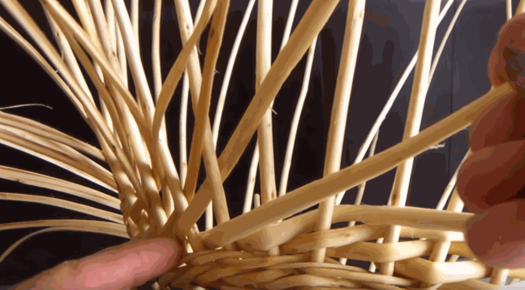 Odoo • une photo avec une légende