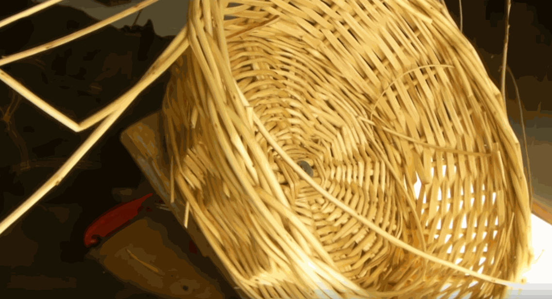 Odoo • une photo avec une légende