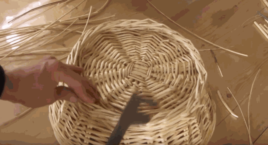 Odoo • une photo avec une légende