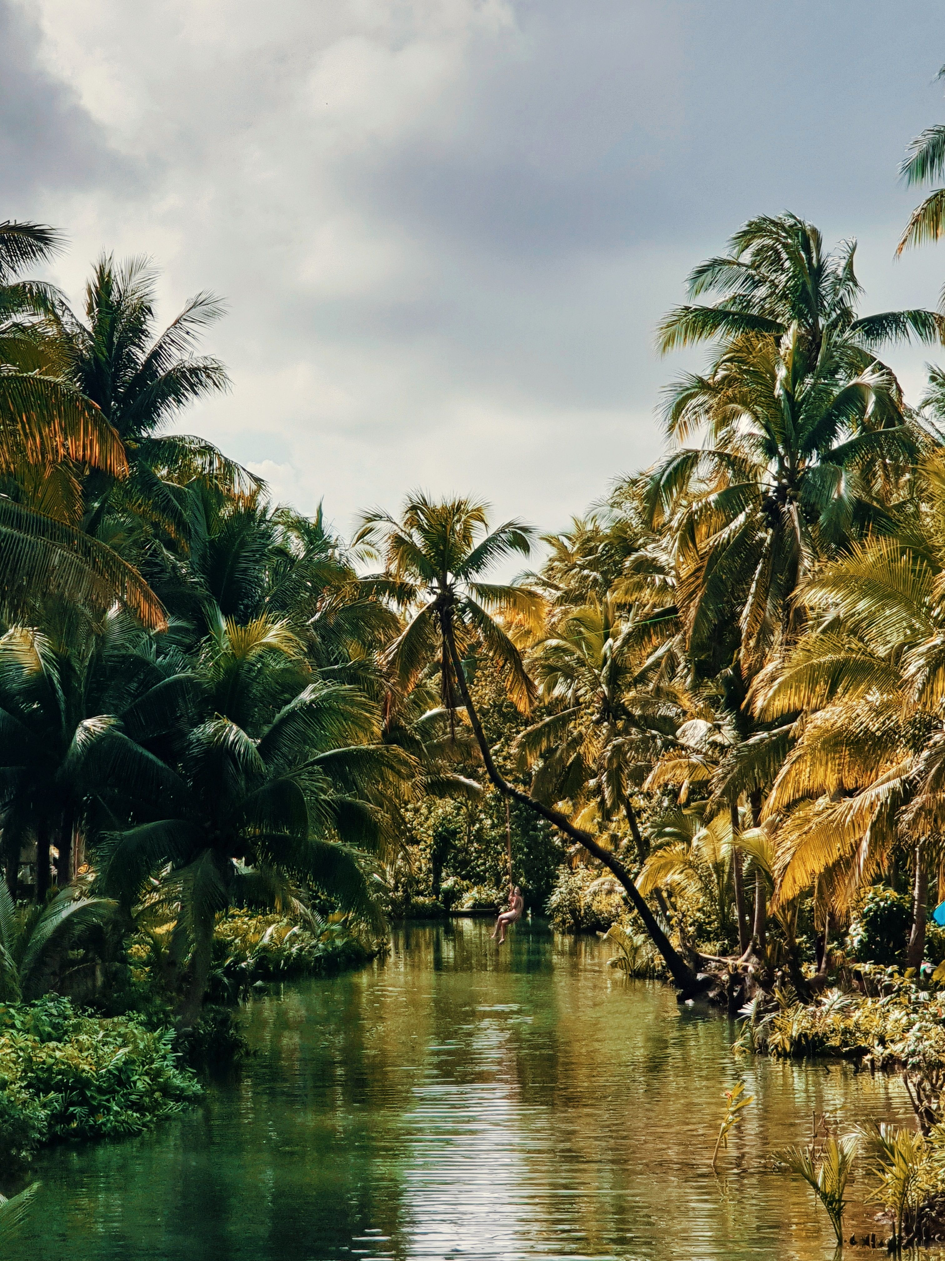 Odoo • Texte et Image