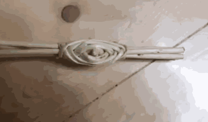 Odoo • une photo avec une légende