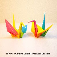 Odoo • une photo avec une légende