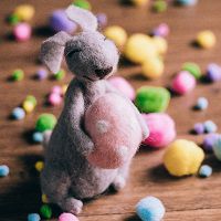 Odoo • une photo avec une légende