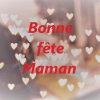 Odoo • une photo avec une légende