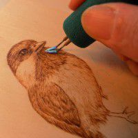 Odoo • une photo avec une légende