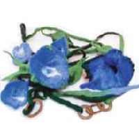 Odoo • une photo avec une légende