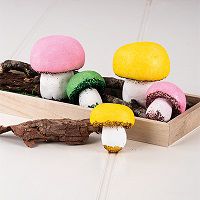 Odoo • une photo avec une légende