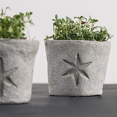 Odoo • une photo avec une légende