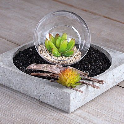 Odoo • une photo avec une légende