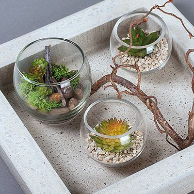 Odoo • une photo avec une légende