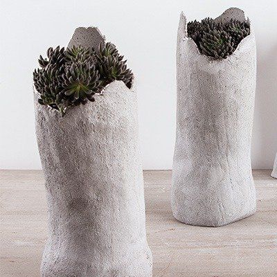 Odoo • une photo avec une légende