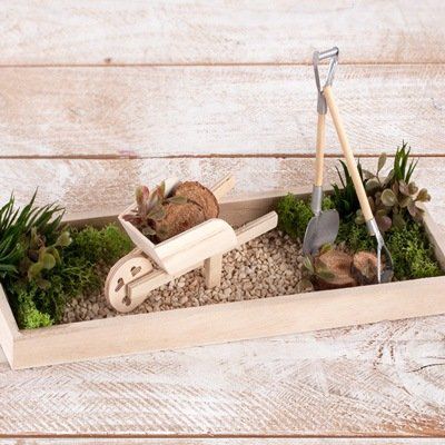 Odoo • une photo avec une légende