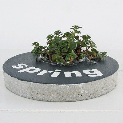 Odoo • une photo avec une légende