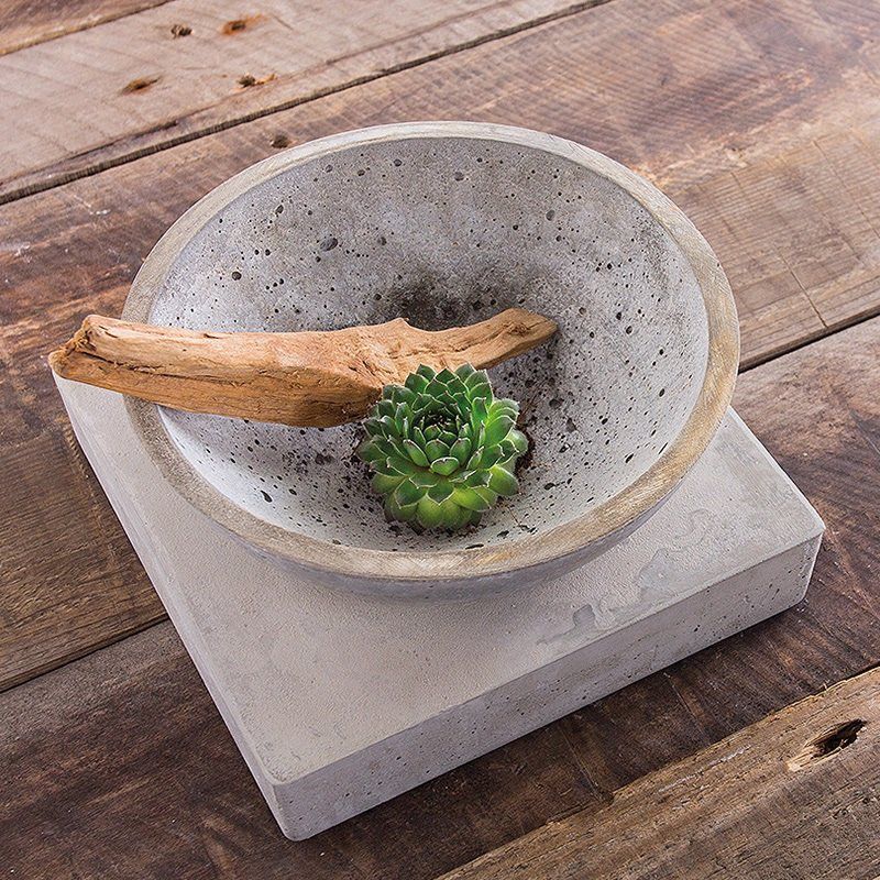 Odoo • une photo avec une légende