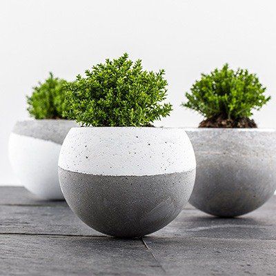 Odoo • une photo avec une légende