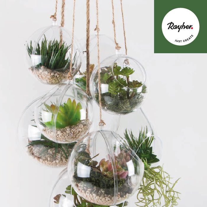 Odoo • une photo avec une légende