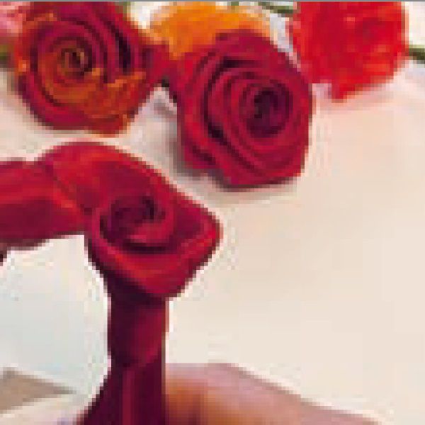 Odoo • une photo avec une légende