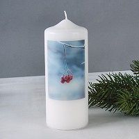 Odoo • une photo avec une légende