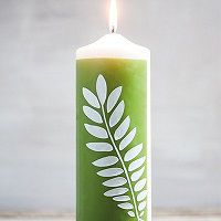 Odoo • une photo avec une légende