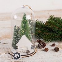 Odoo • une photo avec une légende