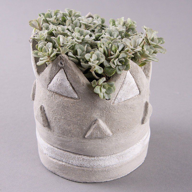 Odoo • une photo avec une légende