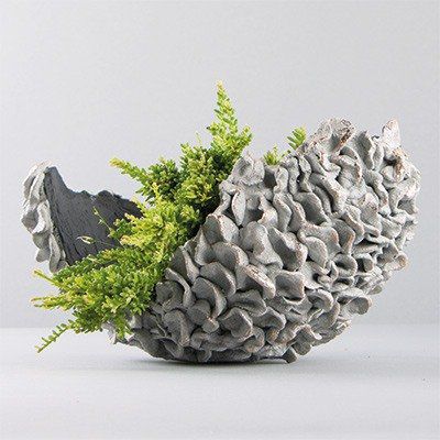 Odoo • une photo avec une légende