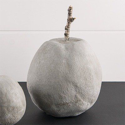 Odoo • une photo avec une légende