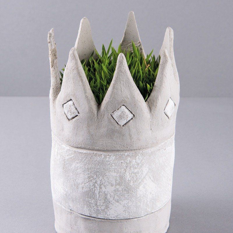 Odoo • une photo avec une légende