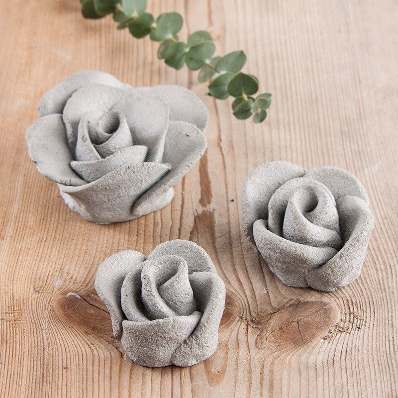 Odoo • une photo avec une légende