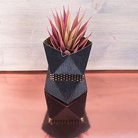 Odoo • une photo avec une légende