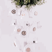 Odoo • une photo avec une légende