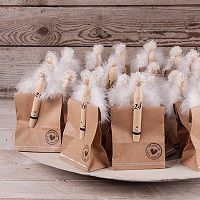 Odoo • une photo avec une légende