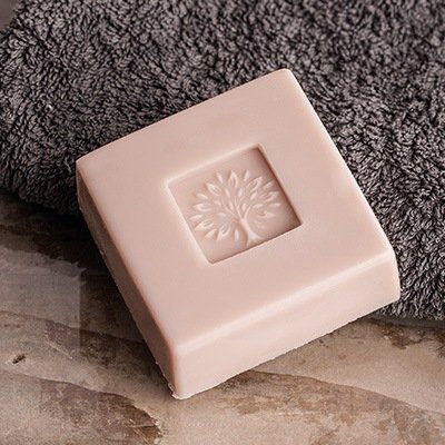 Odoo • une photo avec une légende