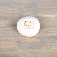 Odoo • une photo avec une légende