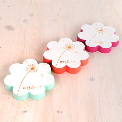 Odoo • une photo avec une légende