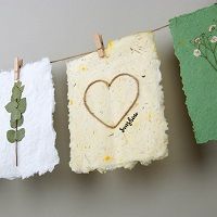 Odoo • une photo avec une légende