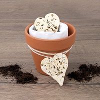 Odoo • une photo avec une légende