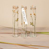 Odoo • une photo avec une légende