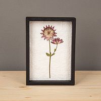 Odoo • une photo avec une légende