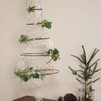 Odoo • une photo avec une légende