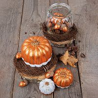 Odoo • une photo avec une légende